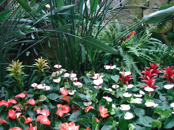 南京林業(yè)大學(xué)風(fēng)景園林學(xué)院社會實踐活動（一）