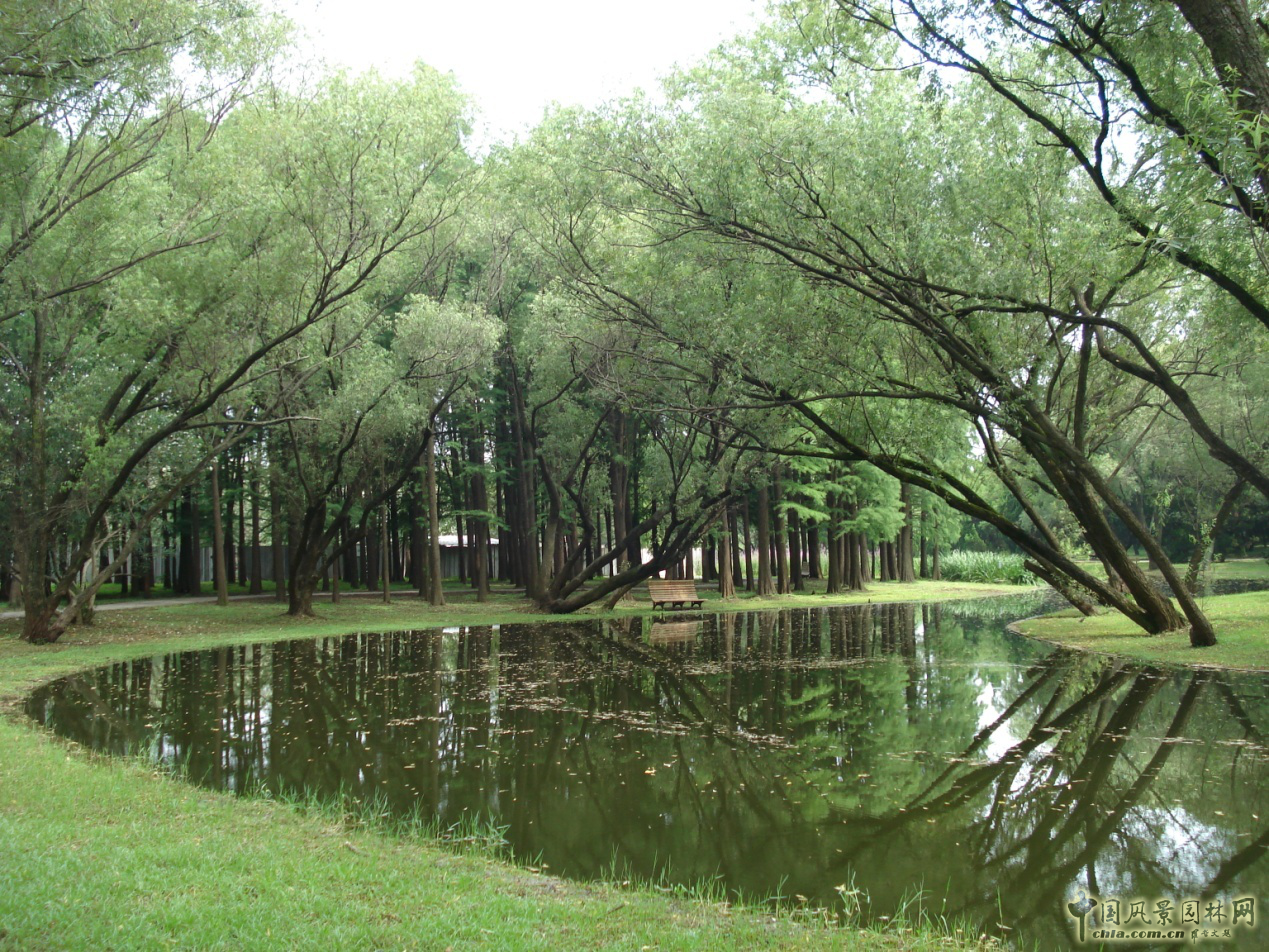 南京林業(yè)大學(xué)風(fēng)景園林學(xué)院社會實(shí)踐活動(dòng)(二)