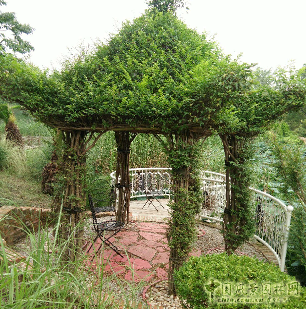 南京林業(yè)大學(xué)風(fēng)景園林學(xué)院社會實踐活動(二)