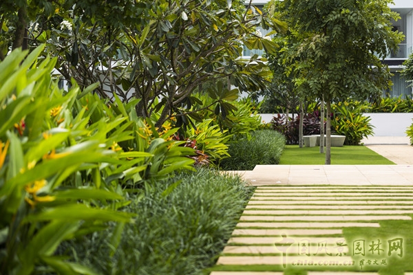 7月15日頭條:越南水岸精品住宅項目賞析