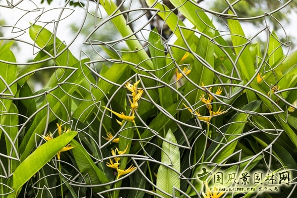 7月15日頭條:越南水岸精品住宅項目賞析
