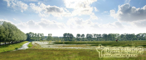 荷蘭阿姆斯特丹BUITENSCHOT公園項目賞析