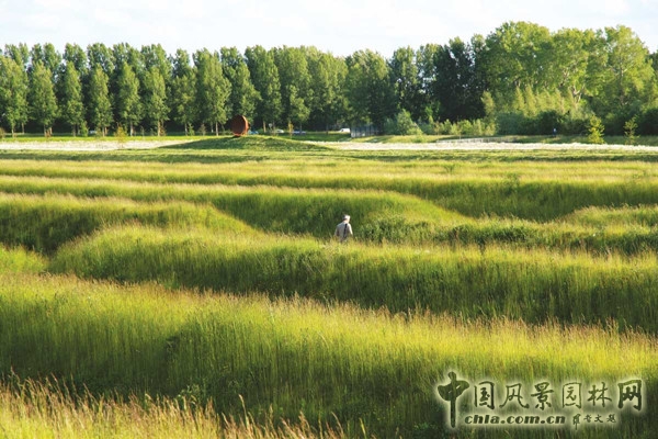 荷蘭阿姆斯特丹BUITENSCHOT公園項目賞析