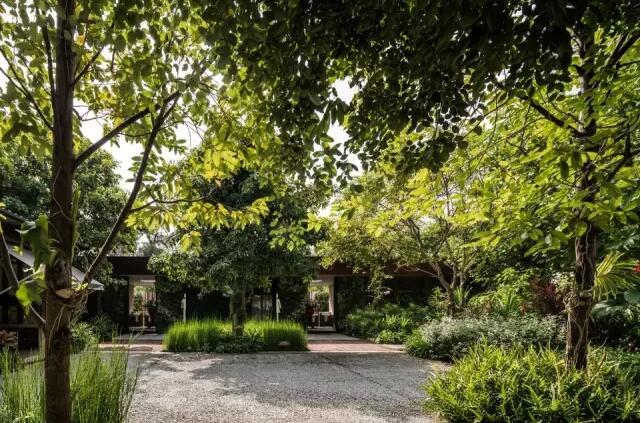 泰國公園:場地修復+產業整合的綠色夢想