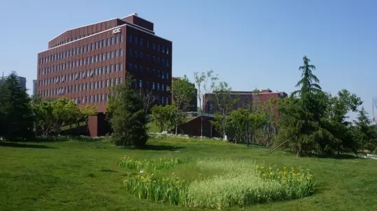 青島中德生態(tài)園德國企業(yè)中心景觀設(shè)計