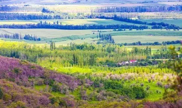 評論：文旅小鎮如何打造成功？