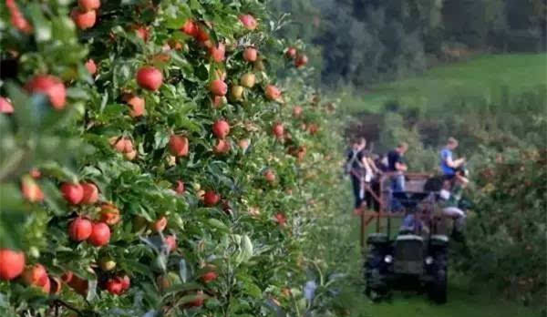 評論：文旅小鎮如何打造成功？