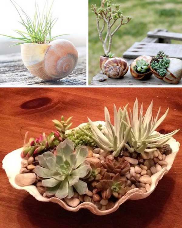 低成本DIY屬于自己的小花園