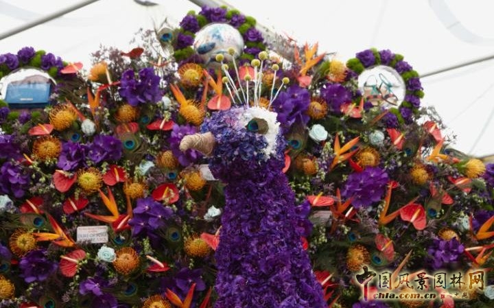 英國2016切爾西花展掀起的花藝設計熱潮