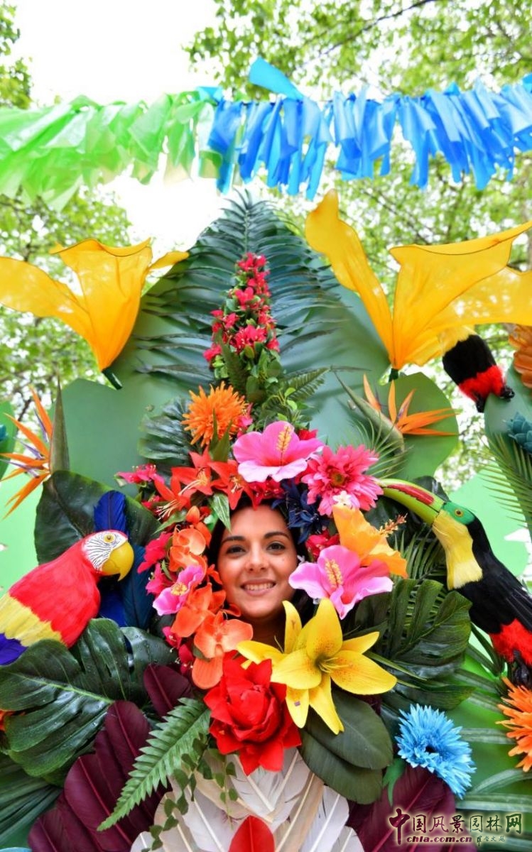 英國2016切爾西花展掀起的花藝設計熱潮