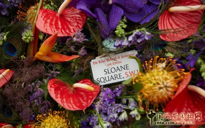 英國2016切爾西花展掀起的花藝設計熱潮