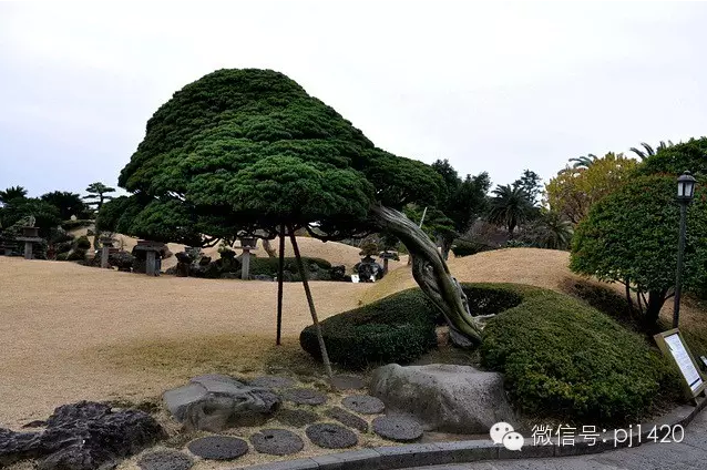 世界最大的盆栽公園——思索之苑