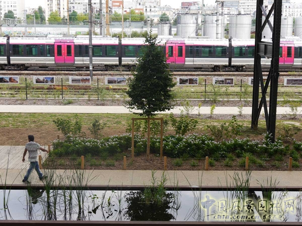 8月31日頭條:羅莎盧森堡花園項目賞析