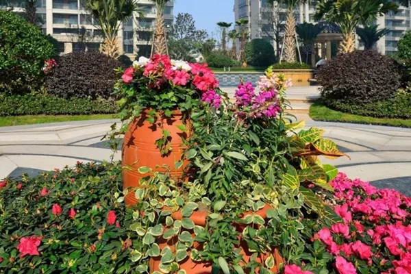 【棕櫚工程】杭州濱江金色黎明清涼夏日小筑