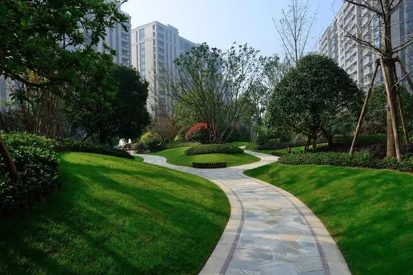 【棕櫚工程】杭州濱江金色黎明清涼夏日小筑