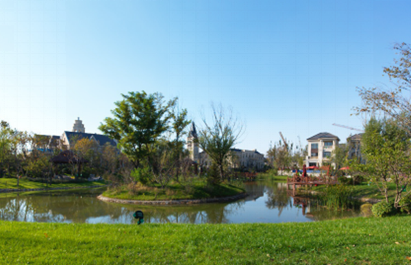 專訪由楊：獨特的管理體系助力優地聯合高效運營