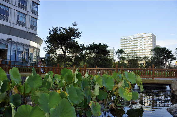 郭麗文：北大國際醫院園林的傳統文化特色