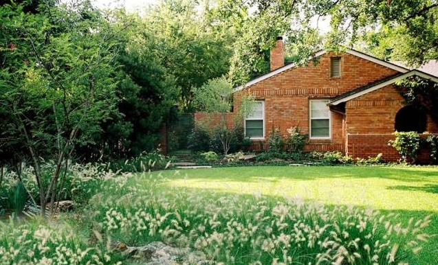 植物造景之觀賞草