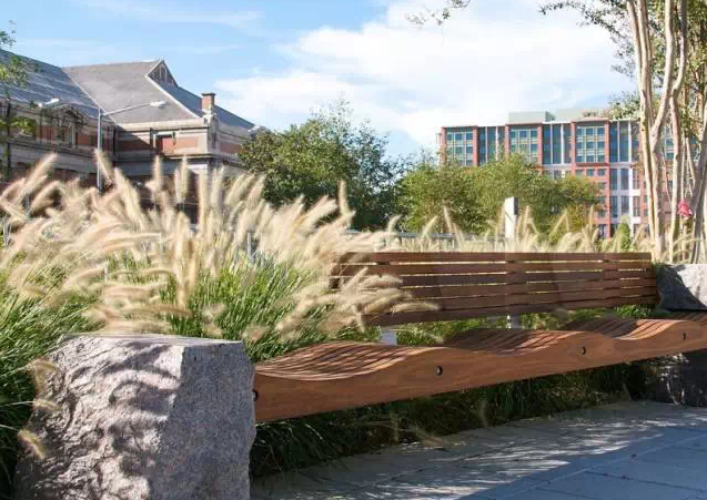 植物造景之觀賞草