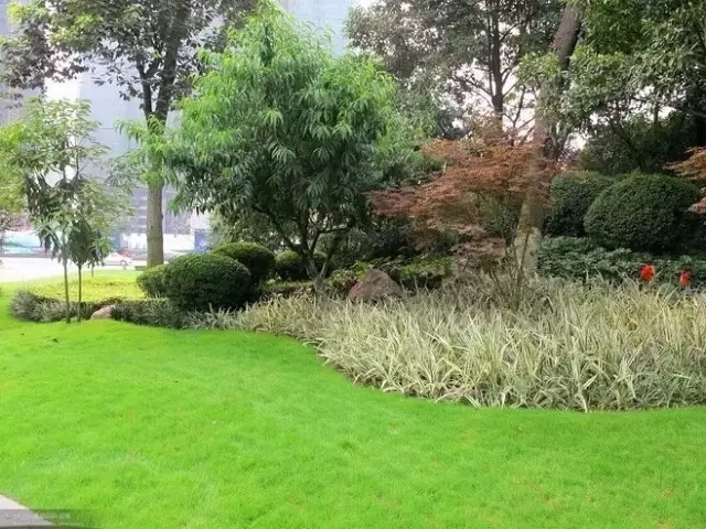 萬科居住區(qū)景觀植物設(shè)計要點