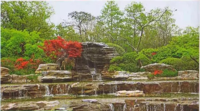 萬科居住區景觀植物設計要點