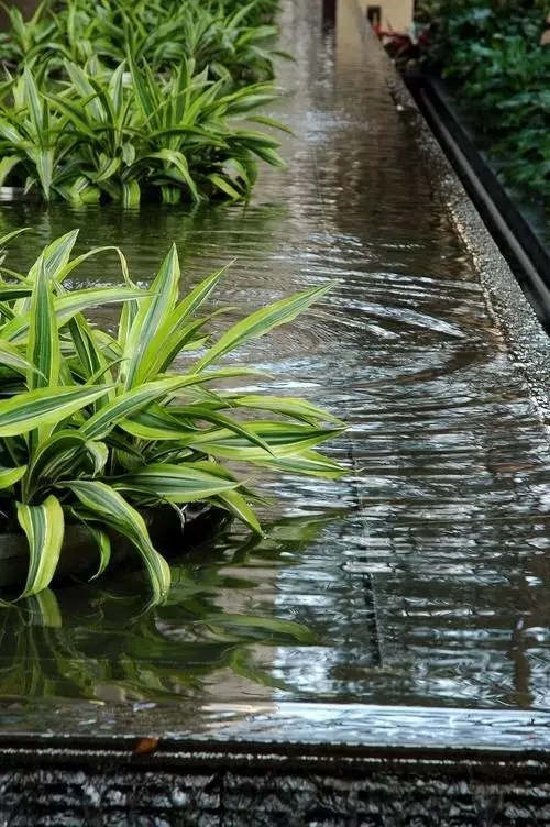 水在景觀設計中的應用