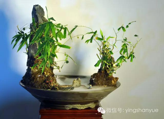 墨爻盆景作品：家鄉美景——《漢上夢溪》