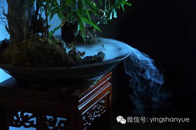 墨爻盆景作品：家鄉美景——《漢上夢溪》