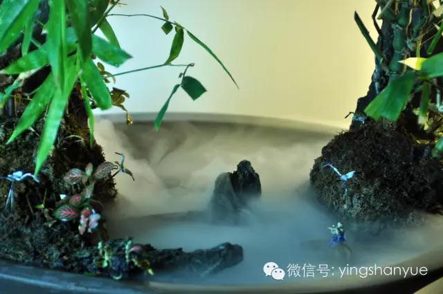 墨爻盆景作品：家鄉(xiāng)美景——《漢上夢(mèng)溪》
