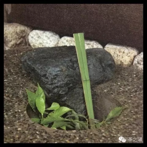 連接“俗世”與“茶道”的通道——露地