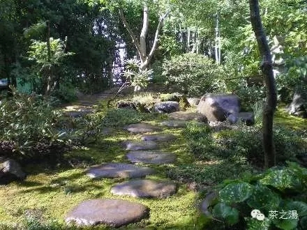 連接“俗世”與“茶道”的通道——露地