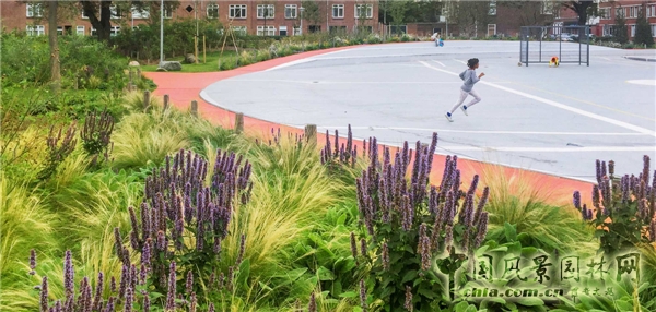 【9月22日頭條】荷蘭“荒野生存”兒童游樂場景觀設(shè)計