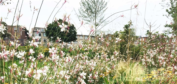 【9月22日頭條】荷蘭“荒野生存”兒童游樂場景觀設(shè)計