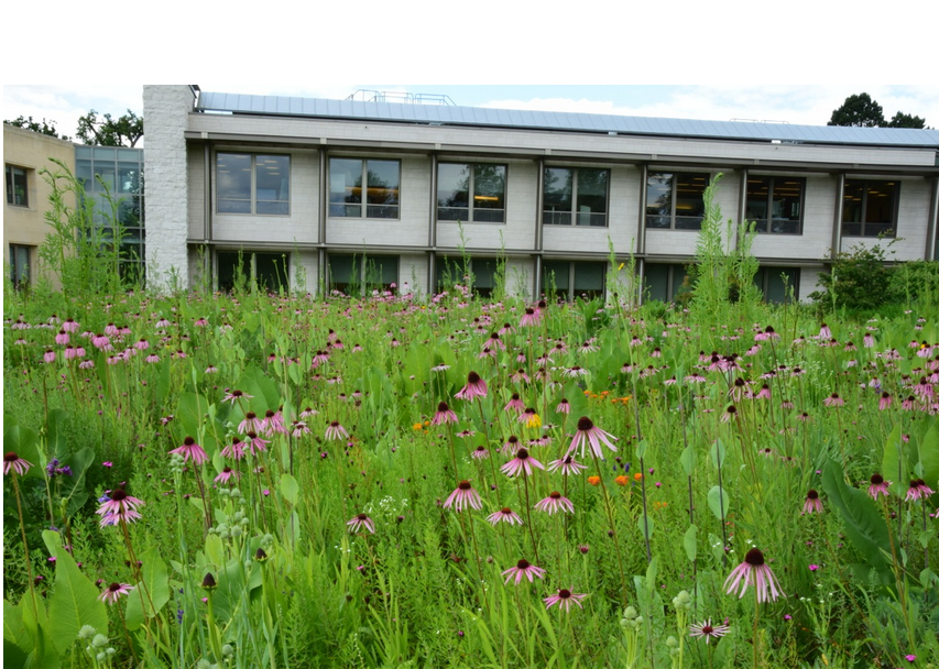 詹姆斯·希契莫夫教授生態(tài)景觀設(shè)計(jì)實(shí)踐及科研簡(jiǎn)介