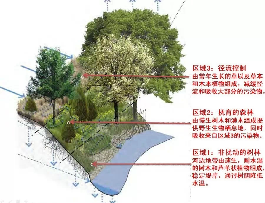 14個景觀細部設計詳解圖