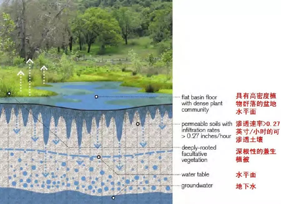 14個景觀細部設計詳解圖