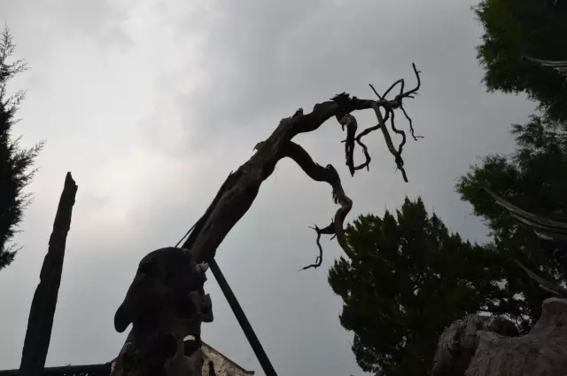 獅子林——禪意之園(中)