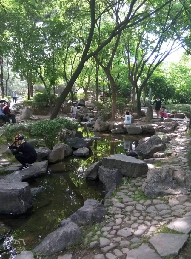 西安最好的園子考察筆記(中)