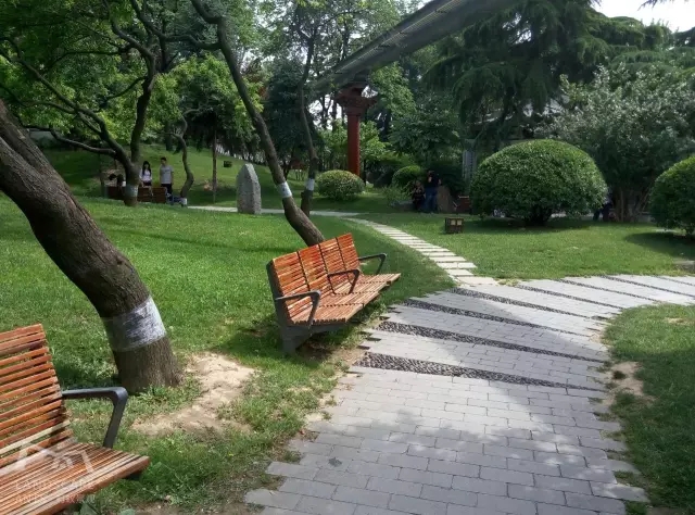 西安最好的園子考察筆記(下)