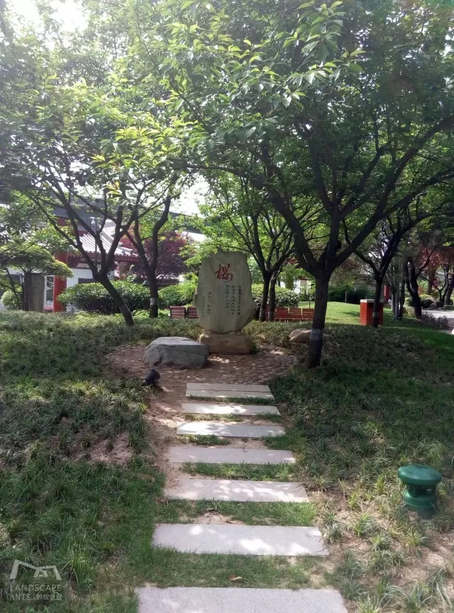 西安最好的園子考察筆記(下)