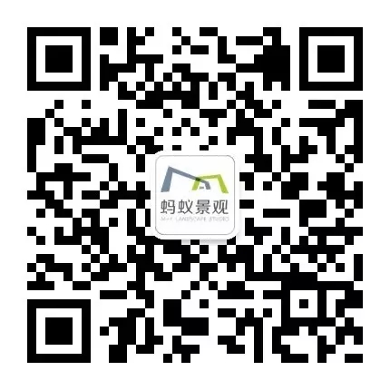 西安最好的園子考察筆記(下)