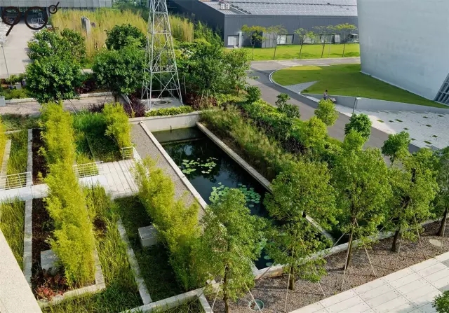 低維護生態園區：萬科研究中心