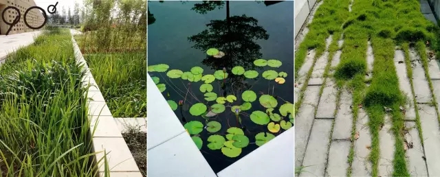 低維護生態園區：萬科研究中心