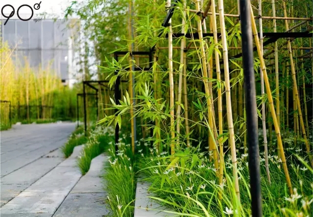 低維護生態園區：萬科研究中心