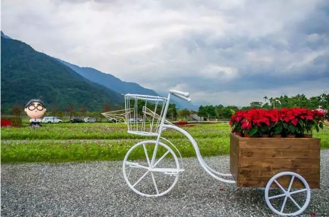 生態(tài)景觀案例——臺東花海