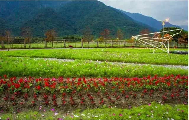 生態(tài)景觀案例——臺東花海