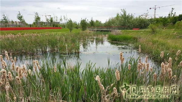 【周二頭條】法國博伊斯—巴多生態(tài)公園(多圖賞析)