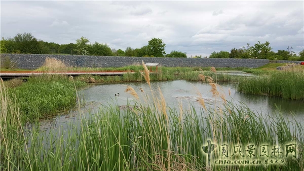 【周二頭條】法國博伊斯—巴多生態(tài)公園(多圖賞析)