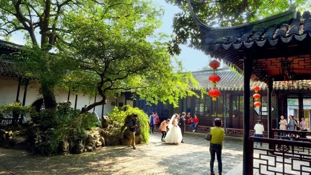 同里古鎮指望這個園子活著——退思園