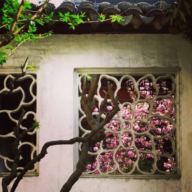 深入蘇州古典園林,感受漏窗之美!